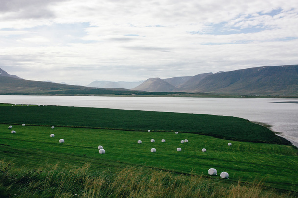 landscape in the north of Iceland - Fotografie, Obrázek