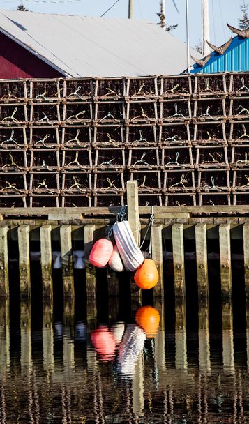 Trampas y boyas de langosta
 - Foto, imagen