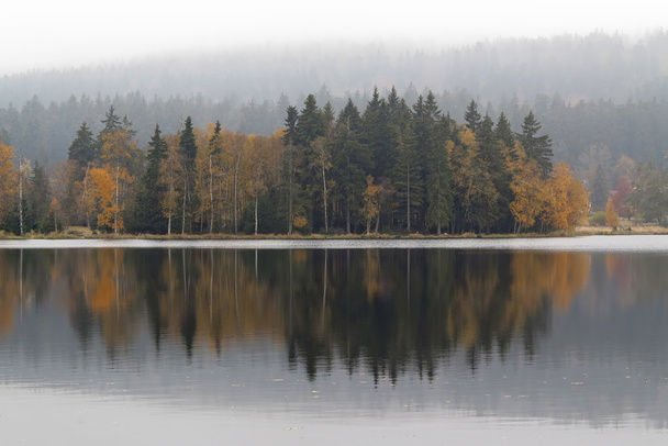 Göl kıyısını sonbahar ağaçta - Fotoğraf, Görsel