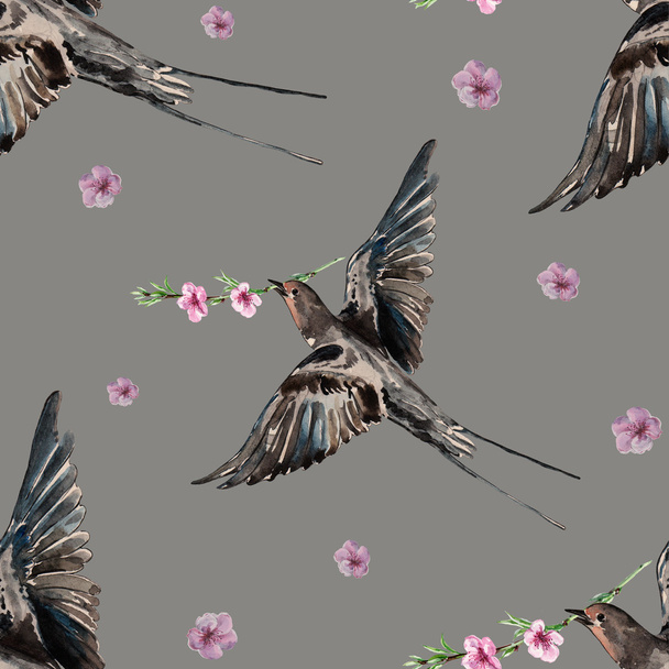 Pták vlaštovka a květ broskve, akvarel, vzor bezešvé - Fotografie, Obrázek