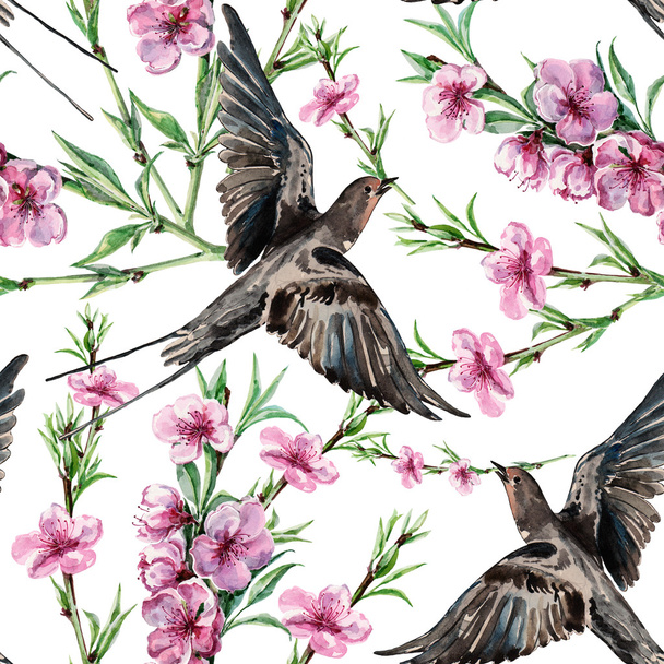 Bird swallow and flower peach, watercolor, pattern seamless - Photo, Image