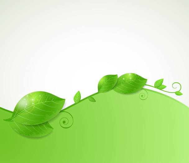 Háttér zöld levelekkel - Vektor, kép