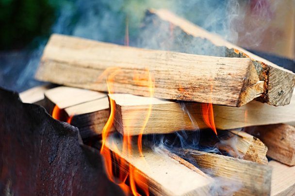 Feu, flammes de bois ember pour grill ou barbecue pique-nique, fumée et bois de chauffage extérieur
 - Photo, image