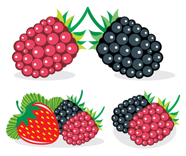 Mixed berries vector illustrations - Vector, Image