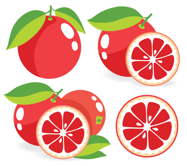 Pink grapefruits vector illustrations - Vector, Image