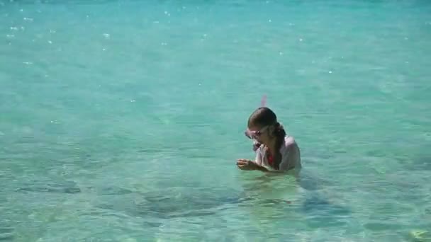 Chica joven buceando en el mar
 - Metraje, vídeo