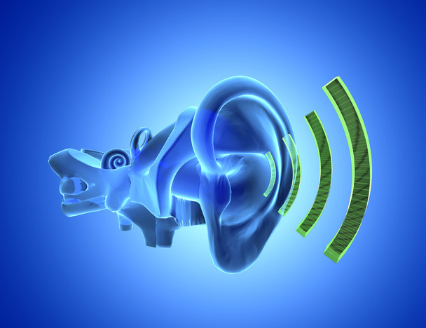 3D ανατομία αυτί με ήχο - Φωτογραφία, εικόνα