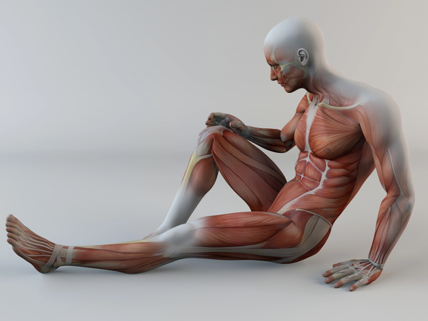 Emberi test, térd fájdalom - Fotó, kép