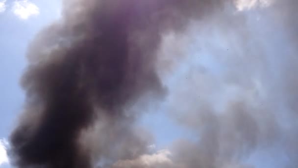 Dym warstwy na błękitne niebo - Materiał filmowy, wideo