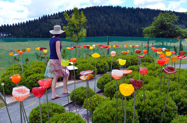 Un jardín de cristal al aire libre cerca de Taupo, Nueva Zelanda
. - Foto, imagen