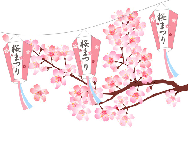 Фестиваль сакуры весенний фон
 - Вектор,изображение