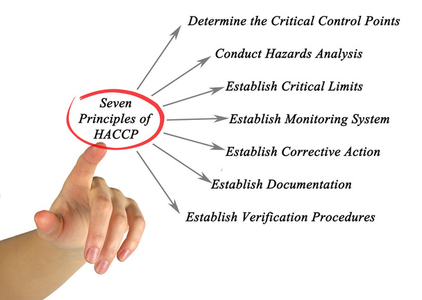 Diagram van de principes van Haccp - Foto, afbeelding