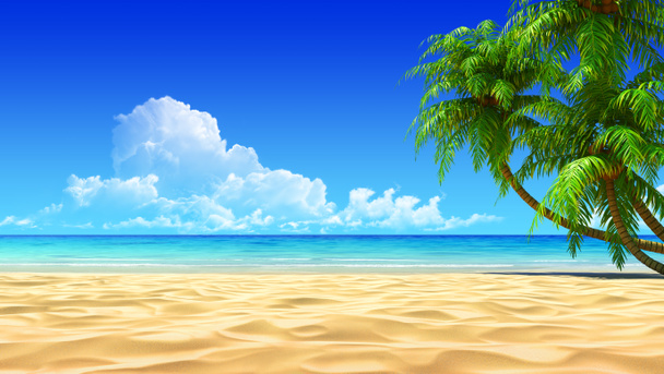 Palmen am leeren, idyllischen tropischen Strand - Foto, Bild