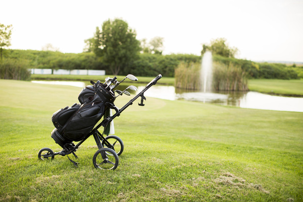Golf equipment on the court - Photo, image