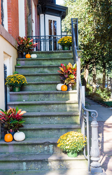 Dýně a květiny na schodech - Fotografie, Obrázek