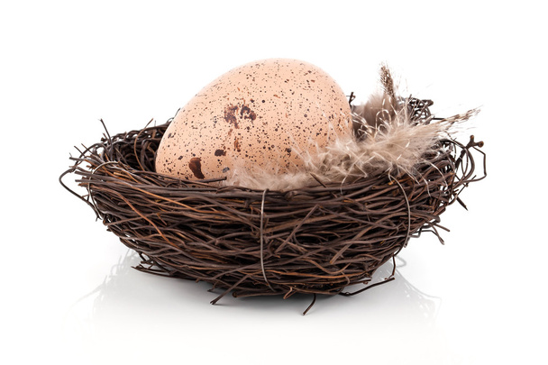 Easter egg in birds nest isolated on white background - 写真・画像
