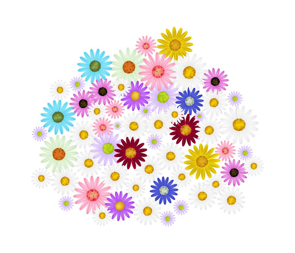 Assorted Daisy Flowers on A White Background - Wektor, obraz