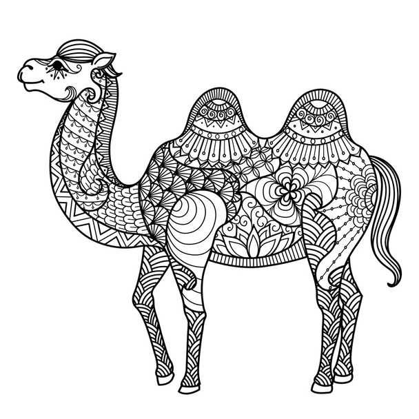 zentangle camel for coloring book - Vector, afbeelding