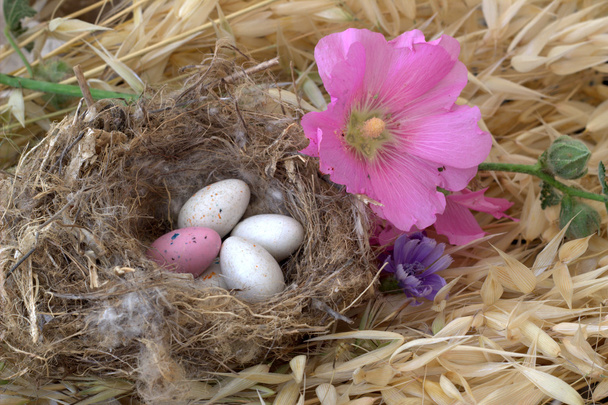 Easter eggs in the nest. - Φωτογραφία, εικόνα