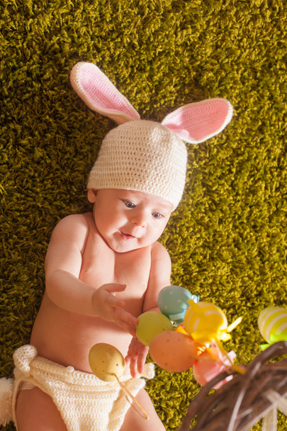Baby Easter bunny - 写真・画像