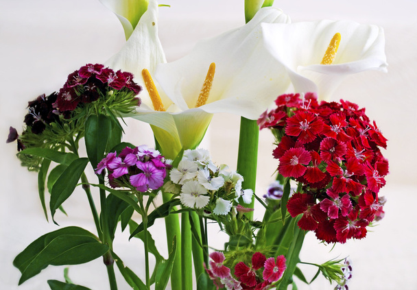 Callas ve Vazoda Çiçekler - Fotoğraf, Görsel