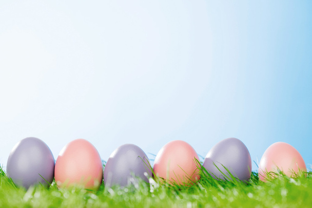 Easter eggs in grass - Foto, imagen
