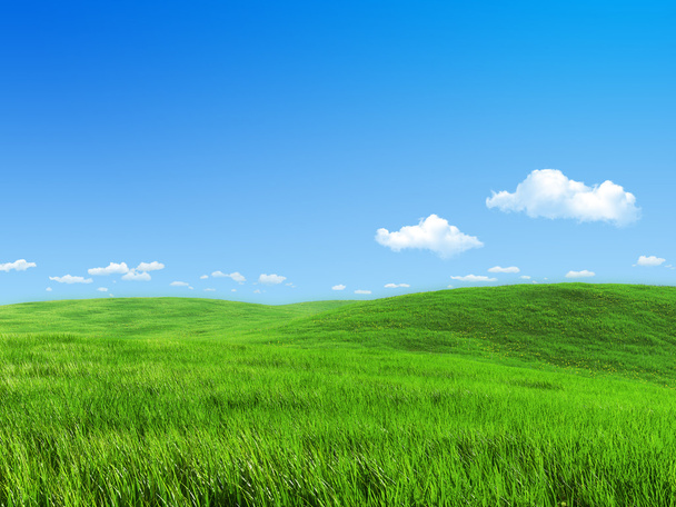 Nature collection - Green meadow template - Photo, Image