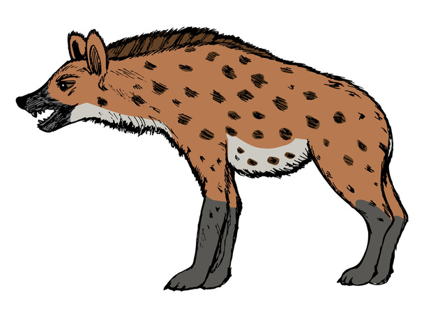 Hyena's, illustratie van dieren in het wild, dierentuin, natuur, dier van savann - Vector, afbeelding