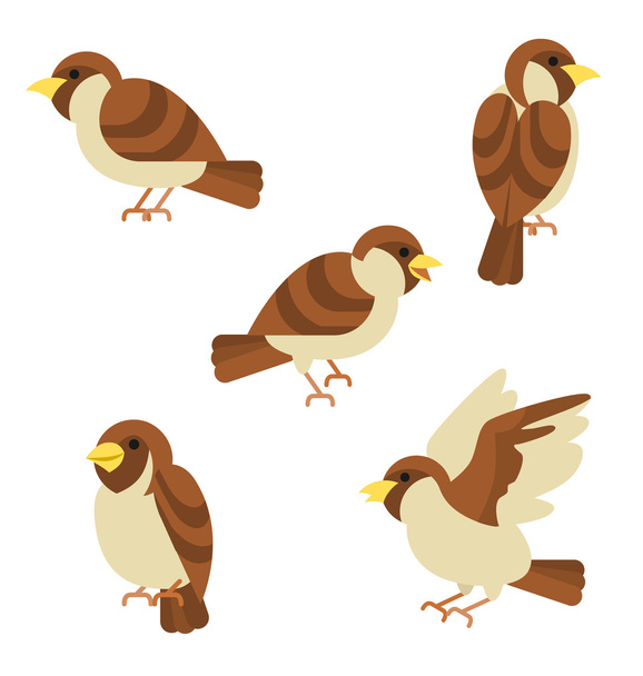 Sparrow,Vector character. - Vector, Image