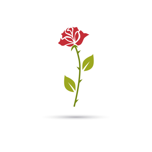 Color illustration of red rose - Vettoriali, immagini