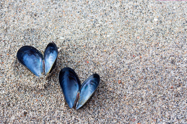 Heart shaped open mussel shell on the beach - Foto, Imagem