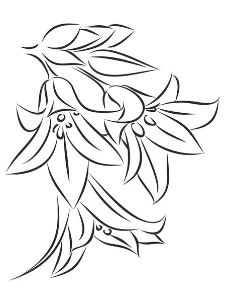 Sketch of wild flowers. - Vector, imagen