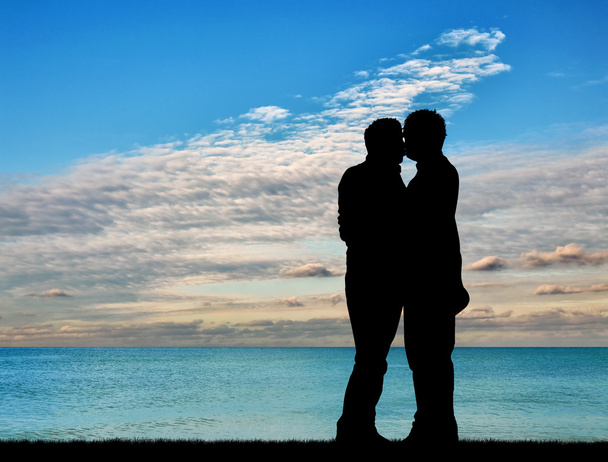 Silhouette happy gay kiss - Photo, Image