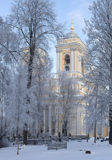 Trinity kathedraal van het Alexander Nevski Lavra. Sint-Petersburg. Rusland. - Foto, afbeelding