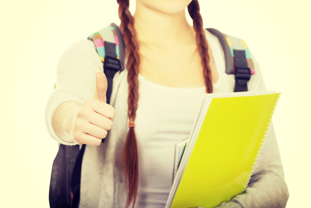 Teenager girl with school backpack. - Photo, Image