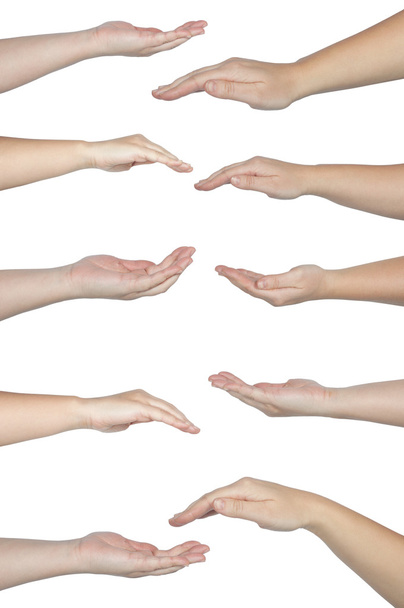 Satz weiblicher Hände - Foto, Bild
