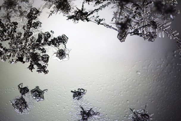 Νιφάδες χιονιού που επιπλέουν σε ένα σκονισμένο χώρο.  - Φωτογραφία, εικόνα
