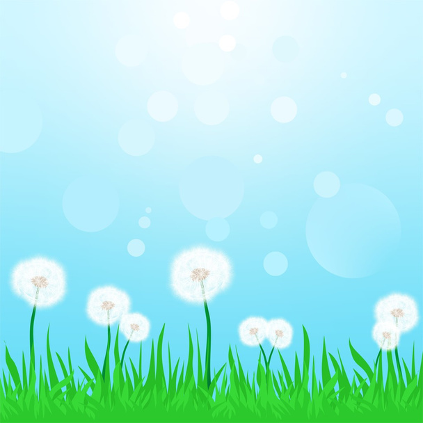 Voorjaar landschap met groene gras met bloeiende paardebloemen met de blauwe lucht en zon reflecties - Vector, afbeelding