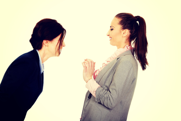 Two angry businesswomans. - 写真・画像