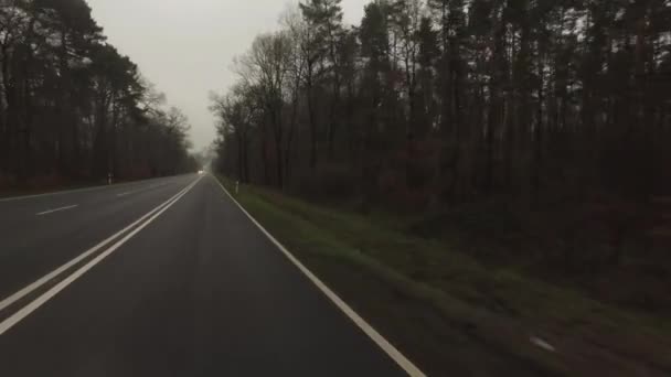 The Road in the Forest in Foggy Cloudy Day - Footage, Video