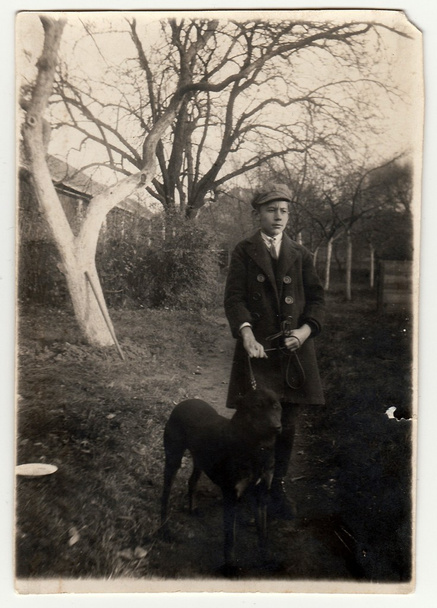Foto vintage mostra o menino com um cachorro em uma caminhada, 21 de dezembro de 1924
. - Foto, Imagem