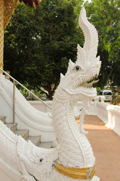 NAGAS OF THAI - Фото, изображение