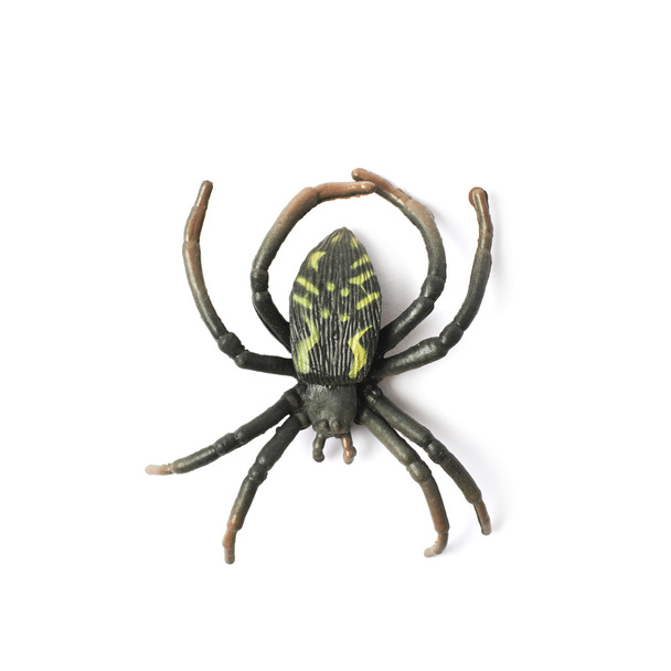 Fake rubber spider toy isolated - 写真・画像