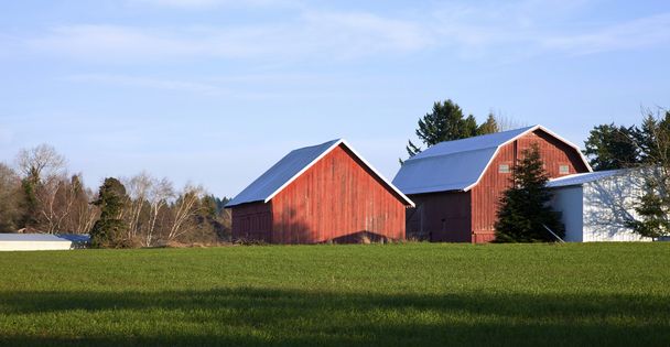 Barns and field, rural Oregon. - Foto, imagen
