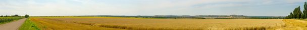 Panorama du champ de blé
 - Photo, image