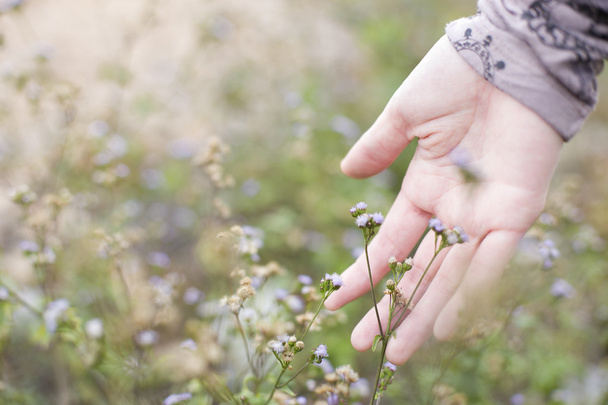 Woman, hand, flower, loneliness, expectation, emotion, expectation, hope, weeds, - Foto, afbeelding
