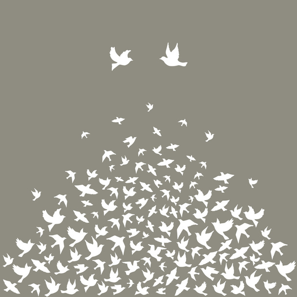Silhouetten van vogels vliegen - Vector, afbeelding