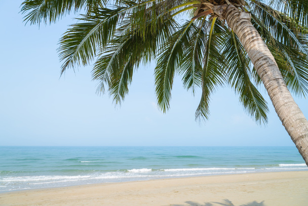 Tropikalna plaża z palmami kokosowymi na czas letni - Zdjęcie, obraz