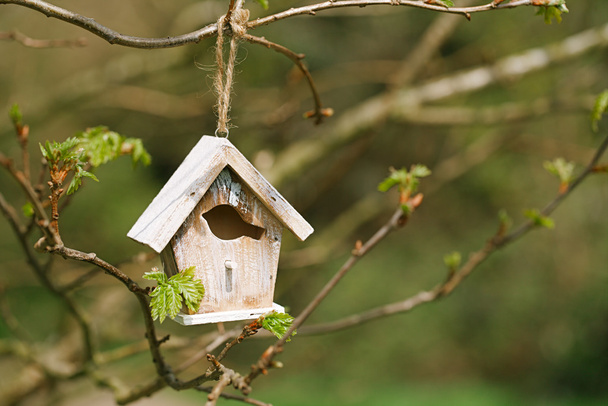 a tavasz kis birdhouse - Fotó, kép