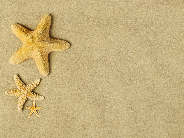 zeesterren op zand - Foto, afbeelding